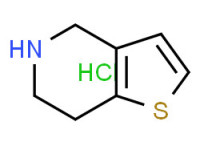 4,5,6,7-tetrahydrothieno[3,2-c]pyridine,hydrochloride