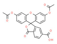 6-CARBOXYFLUORESCEIN DIACETATE