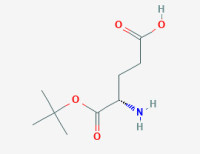 L-Glutamic acid α-tert·butyl ester