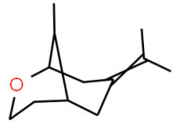 9-methyl-7-(1-methylethylidene)-2-oxabicyclo[3.3.1]nonane