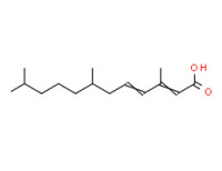 (2Z,4E)-(±)-3,7,11-trimethyldodeca-2,4-dienoic acid