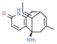 huperzine A