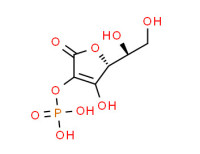 L-Ascorbic acid 2-phosphate