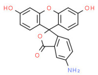 5(6)-Aminofluorescein