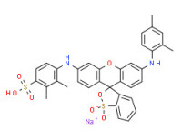 Sodium [[6'-[(2,4-dimethylphenyl)amino]spiro[3H-2,1-benzoxathiole-3,9'-[9H]xanthene]-3'-yl]amino]xylenesulphonate S,S-dioxide