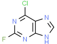 6-chloro-2-fluoro-9H-purine