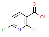 2,6-Dichloronicotinic acid