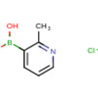 (2-methylpyridin-3-yl)boronic acid hydrochloride