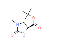 tert-butyl (4s)-1-methyl-2-oxoimidazolidine-4-carboxylate;(s)-(-)-1-methyl-2-oxoimidazolidine-4-carboxylic acid tert-butyl ester