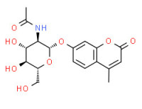 7-[[2-acetamido-2-deoxy-ß-D-glucopyranosyl]oxy]-4-methyl-2H-1-benzopyran-2-one