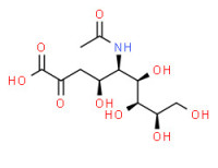 N-acetylneuraminic acid