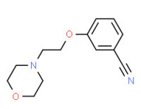3-(2-MORPHOLIN-4-YLETHOXY)BENZONITRILE