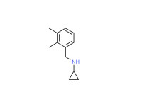 N-(2,3-dimethylbenzyl)cyclopropanamine