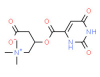 L-Carnitine Orotate ≥ 99.0%