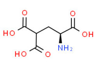 (S)-3-aminopropane-1,1,3-tricarboxylic acid
