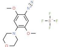 2,5-dimethoxy-4-(morpholin-4-yl)benzenediazonium tetrafluoroborate