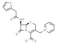 Cefaloridine