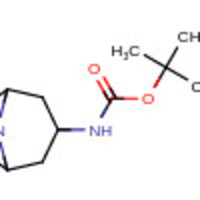 tert-Butyl 8-aza-bicyclo[3.2.1]octan-3-ylcarbamate