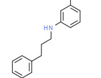 N-[3-[(3-phenylpropyl)amino]phenyl]acetamide
