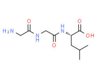 Glycylglycyl-L-leucine