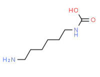 (6-aminohexyl)carbamic acid