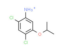 2,4-dichloro-5-isopropoxyanilinium chloride