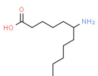 6-aminoundecanoic acid
