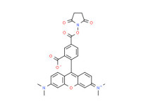 6-Carboxy-tetramethylrhodamine N-succinimidyl ester