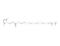 Mal-NH-PEG4-OtBu