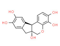 Haematoxylin