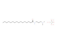 N-[3-(dimethylamino)propyl]palmitamide phosphate
