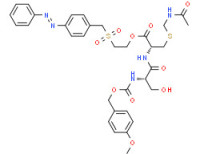 2-[[4-(phenylazo)benzyl]sulphonyl]ethyl S-(acetamidomethyl)-N-[N-[(4-methoxybenzyloxy)carbonyl]-L-seryl]-L-cysteinate