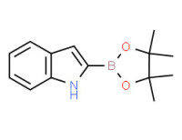 2-(4,4,5,5-tetramethyl-1,3,2-dioxaborolan-2-yl)-1H-indole