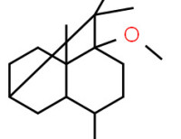 Decahydro-1-methoxy-4,8a,9,9-tetramethyl-1,6-methanonaphthalene