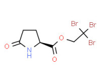 2,2,2-tribromoethyl 5-oxo-L-prolinate