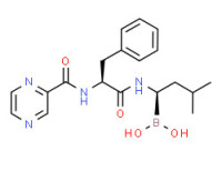 Bortezomib