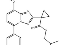 isobutyl 1-(8-methoxy-5-(1-oxo-1,3-dihydroisobenzofuran-5-yl)-[1,2,4]triazolo[1,5-a]pyridin-2-yl)cyclopropane-1-carboxylate