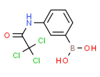 3-(2,2,2-Trichloroacetamido)phenylboronic acid