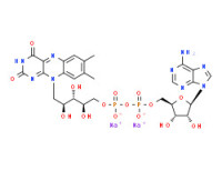 Riboflavin 5'-(trihydrogen diphosphate), 5'?5'-ester with adenosine, disodium salt