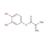 3,4-Dihydroxyphenyl 2-methyl-2-propenoate