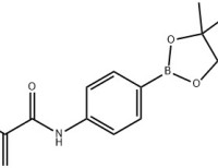 N-(4-(4,4,5,5-tetramethyl-1,3,2-dioxaborolan-2-yl)phenyl)methacrylamide