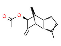 (3aa,4a,6a,7a,7aa)-3a,4,5,6,7,7a-hexahydro-3-methyl-5-methylene-4,7-methano-1H-inden-6-yl acetate