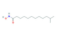 N-hydroxyisotridecan-1-amide