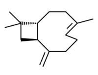 Caryophyllene