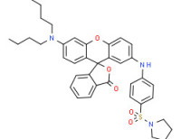1-[[4-[[6'-(dibutylamino)-3-oxospiro[isobenzofuran-1(3H),9'-[9H]xanthen]-2'-yl]amino]phenyl]sulphonyl]pyrrolidine