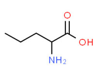 2-aminopentanoic acid