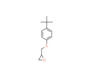 T-Butyl methacrylate