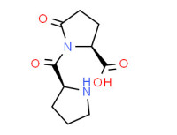 5-oxo-1-L-prolyl-L-proline