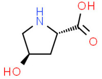 L-HydroxyProline