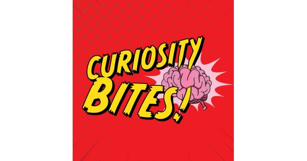 Curiosity Bites Podcast: Part 4